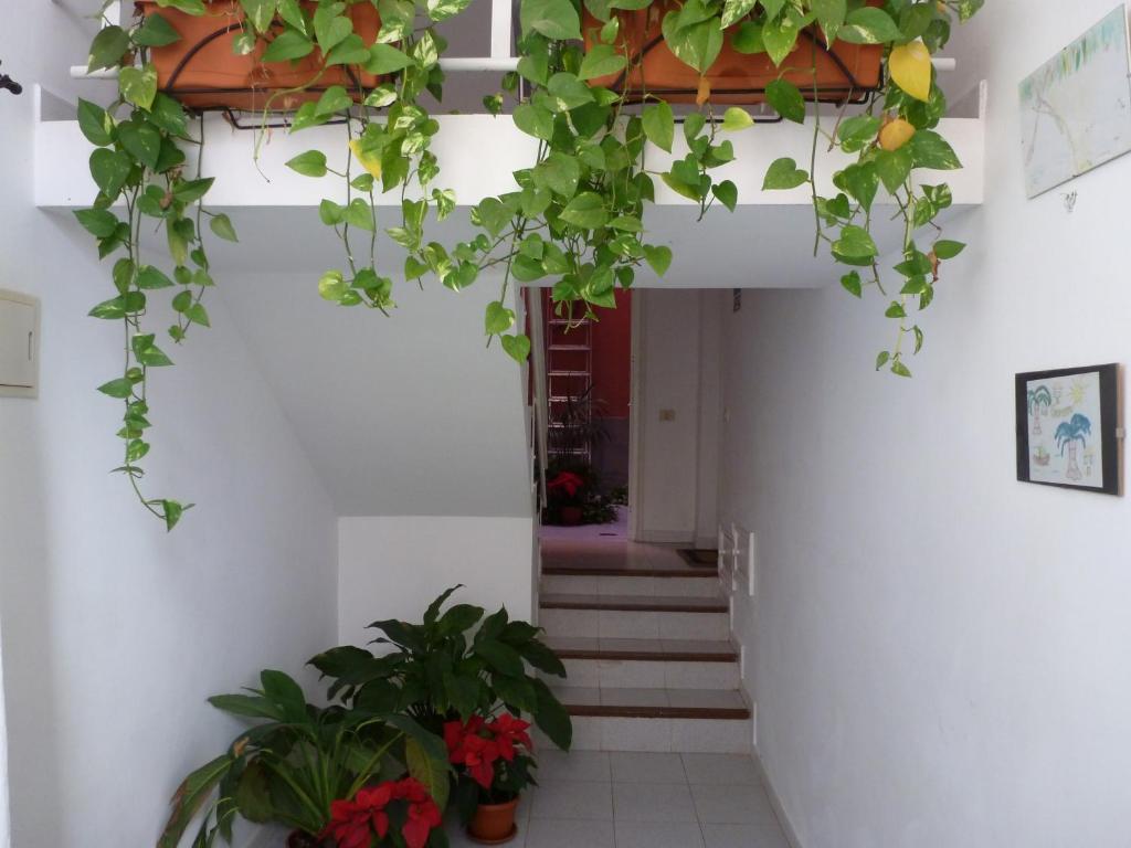 Apartamentos Bellavista Gomera Playa de Santiago  Exteriér fotografie